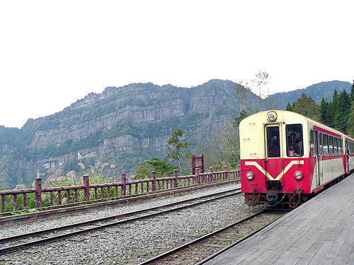 春節前 阿里山森鐵接駁通車 春節前 阿里山森鐵接駁通車