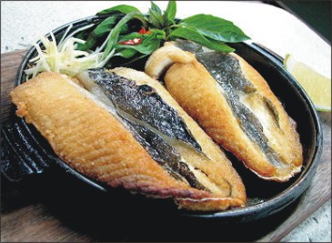 吃魚好 IQ頂呱呱 吃魚好 IQ頂呱呱