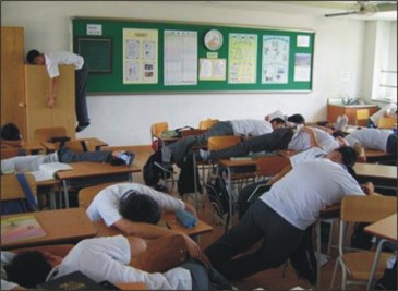 你,裝死了嗎!? 你,裝死了嗎!?